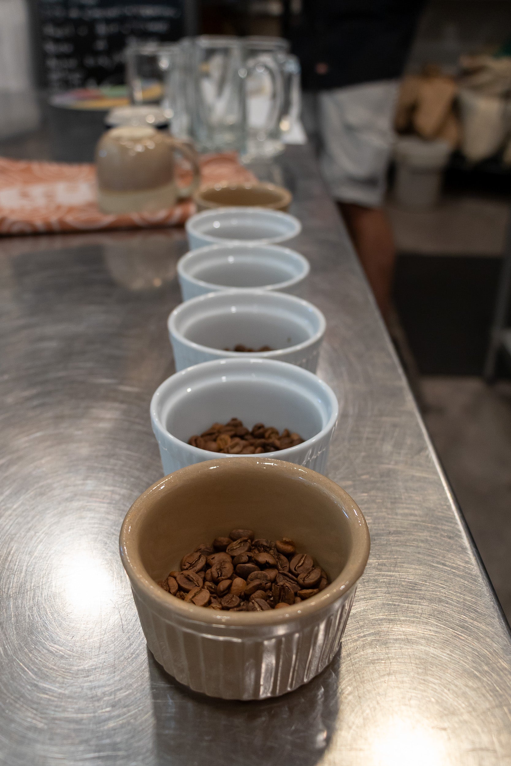 Coffee Roasting Class, 02/07/2026 10am